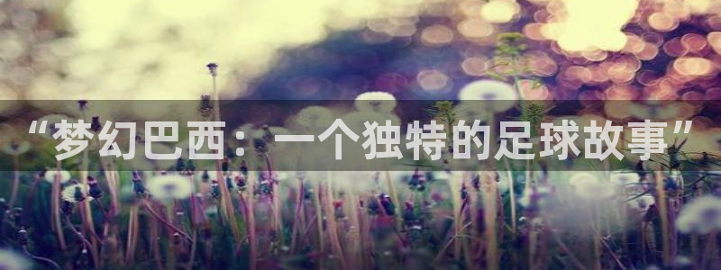 2026世界杯直播免费观看:“梦幻巴西:一个独特的足球故事”