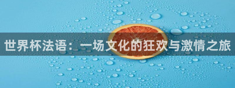 2026世界杯日期:世界杯法语:一场文化的狂欢与激情之旅