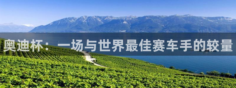 世界杯亚洲区预选赛积分榜:奥迪杯:一场与世界最佳赛车手的较量