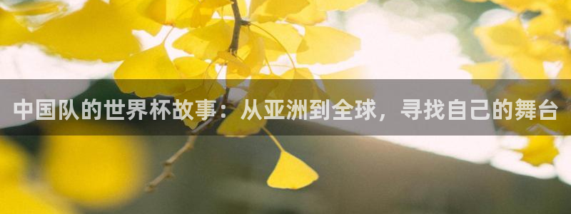 免费看足球直播比赛:中国队的世界杯故事:从亚洲到全球,寻找自己的舞台