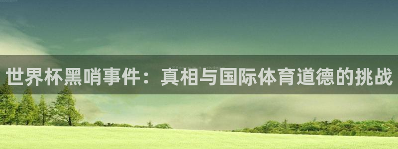 世界杯直播在线观看入口:世界杯黑哨事件:真相与国际体育道德的挑战
