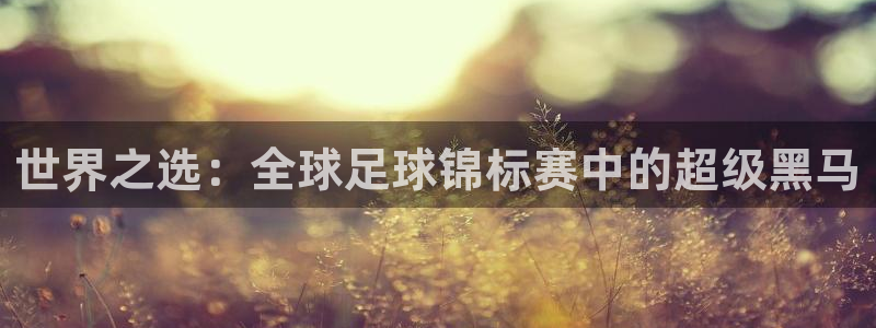 欧洲世界杯预选赛赛程:世界之选:全球足球锦标赛中的超级黑马