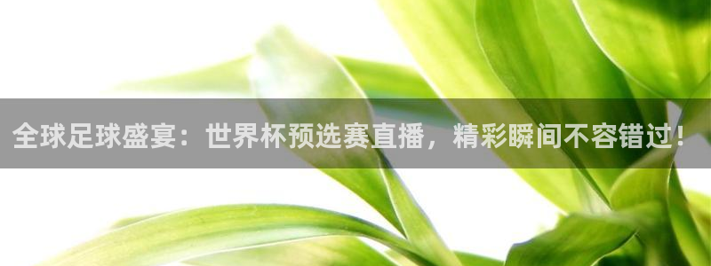 世预赛欧洲赛程表:全球足球盛宴:世界杯预选赛直播,精彩瞬间不容错过!