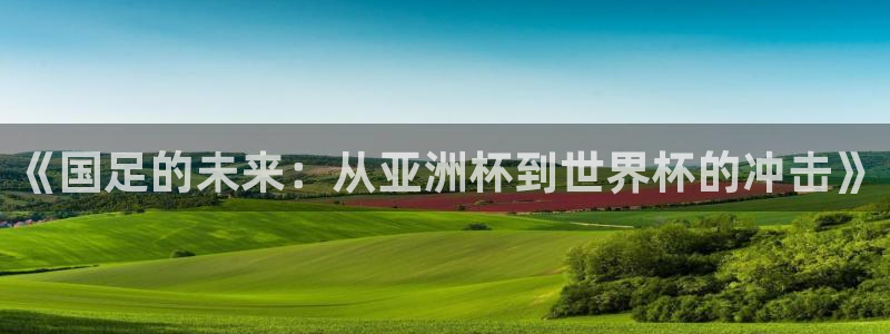 世界杯2026赛程表:《国足的未来:从亚洲杯到世界杯的冲击》