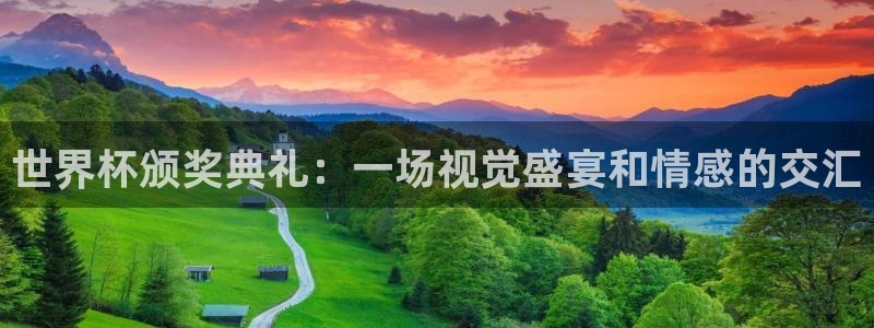 世界杯第一场比赛:世界杯颁奖典礼:一场视觉盛宴和情感的交汇