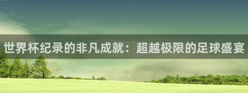 足球世预赛:世界杯纪录的非凡成就:超越极限的足球盛宴